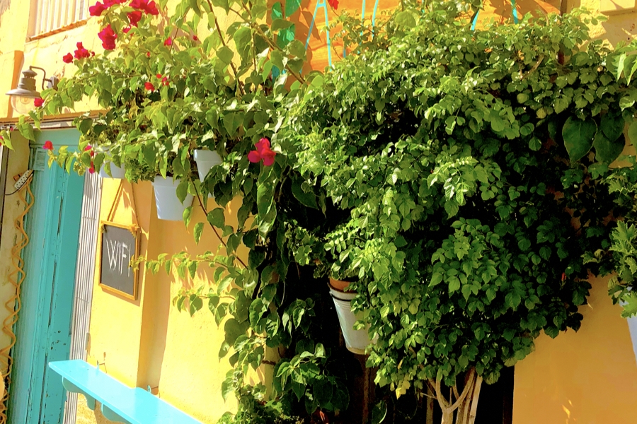 The flowery sign in front of one of the casual bars in Cadiz, Ajola.